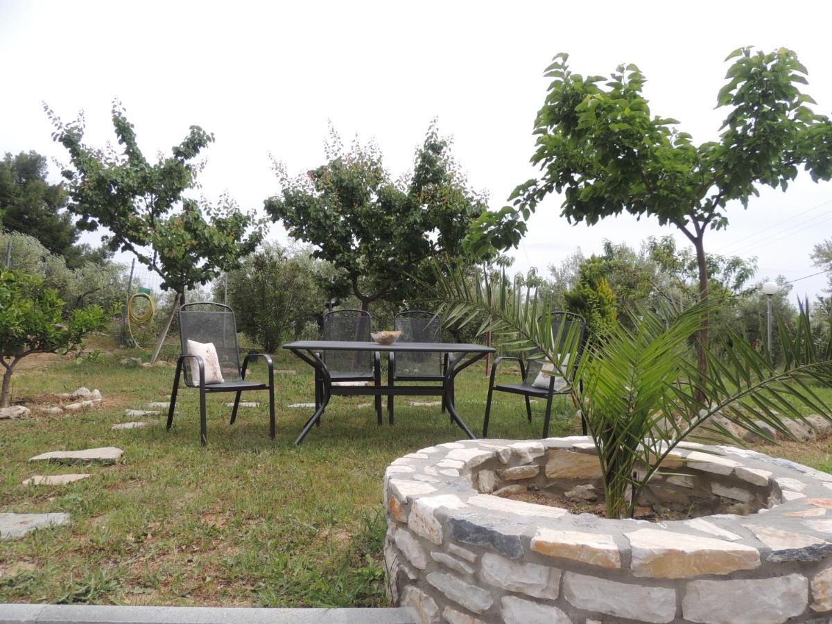 Villa Platskos Vol 2 Kriopigi Ngoại thất bức ảnh